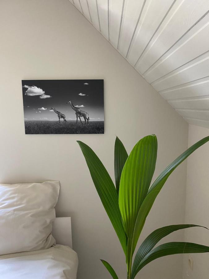 B&B Maison Blanche Gent Ngoại thất bức ảnh